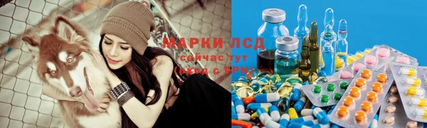 apvp Алексин
