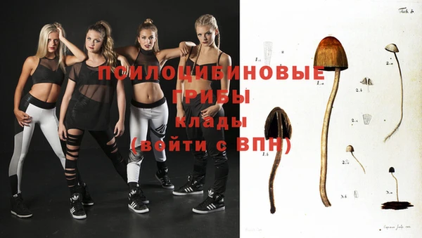 mdpv Алзамай