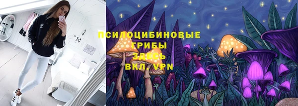 mdpv Алзамай