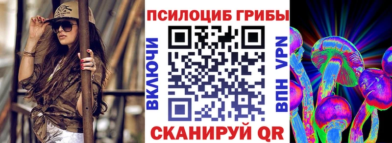 Псилоцибиновые грибы Psilocybe  Новосиль 