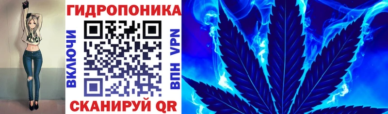 Бошки Шишки сатива  kraken ТОР  Новосиль 